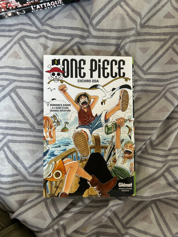 One Piece Tome 1
