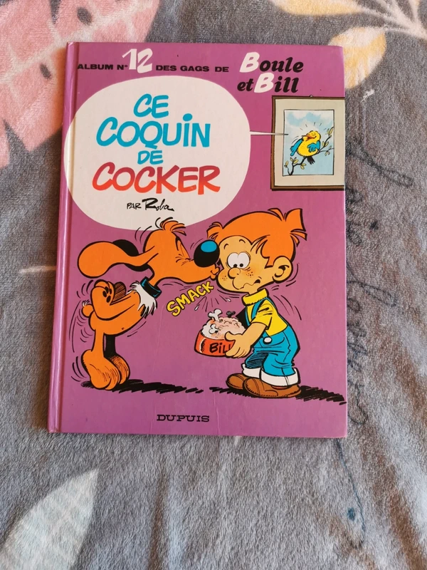 Bande dessinée boule et bill
