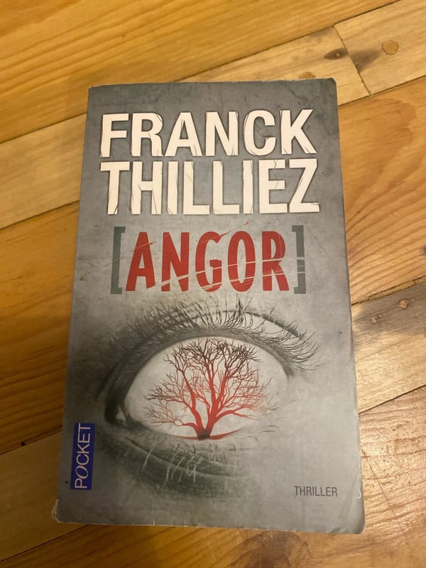 Livre Angor de Franck Thilliez
