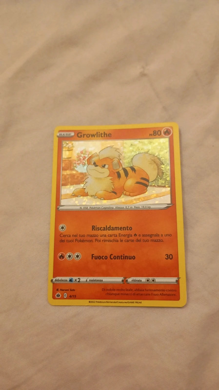 Carta Pokemon