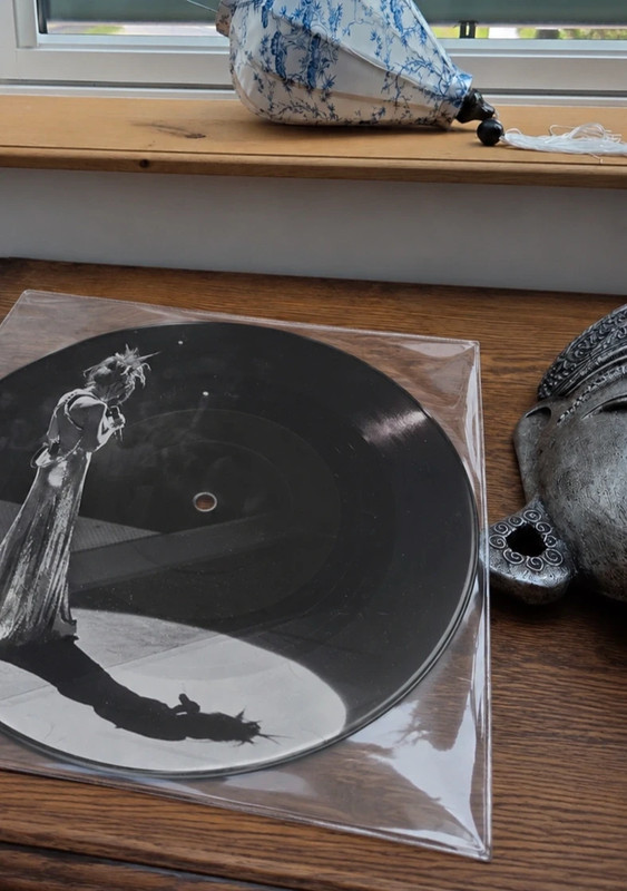 Mylene farmer Rêver picture disc Vinyle