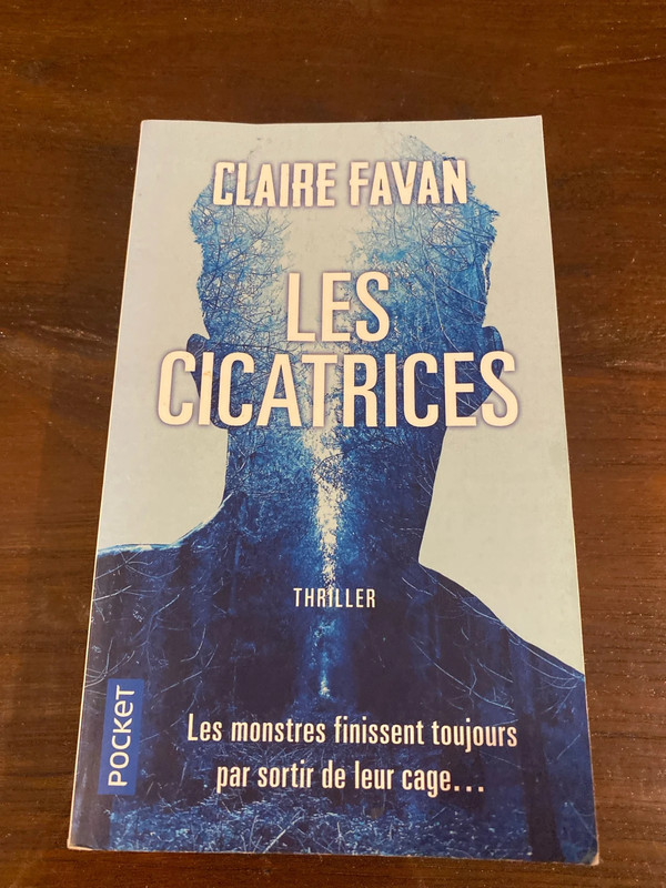 Livre les cicatrices de Claire Favan