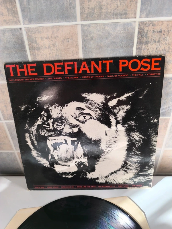 Disque 33T  the défiant pose