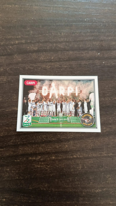figurina calciatori 2014-15 V14 panini