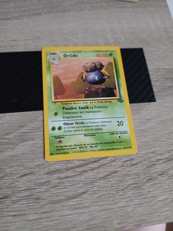 Ortide 37/64