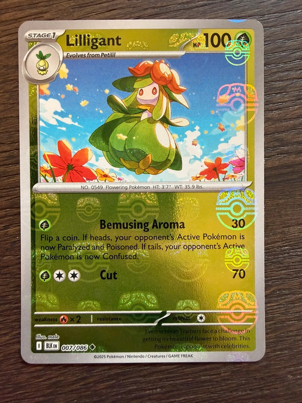 Lilligant 007/086 Masterball BLK