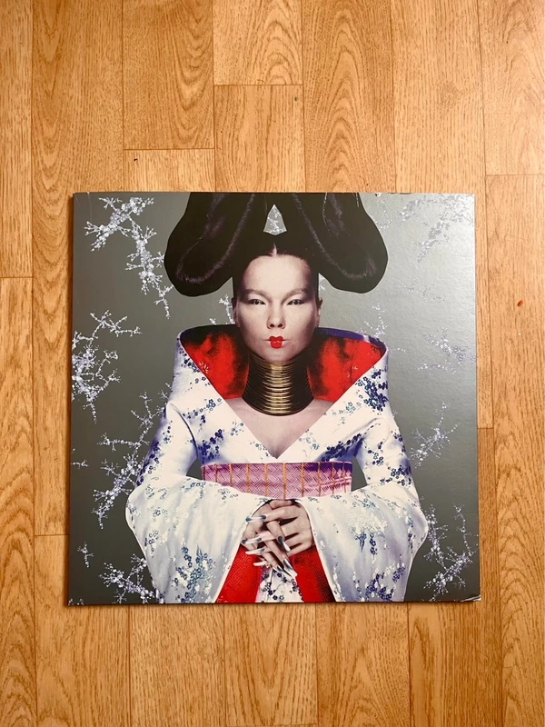 Björk - Homogenic Vinyl