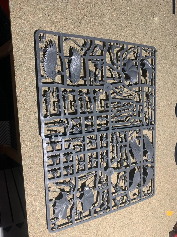 Scourges 40K