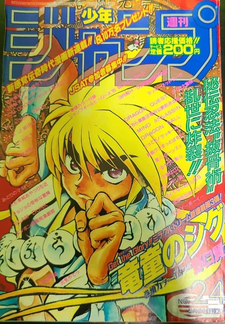 Settimanale Shonen Jump 1995 Numero 24