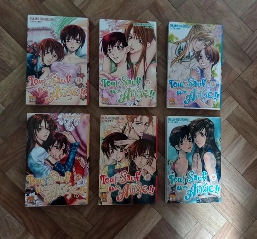 Lot de 6 mangas " tout sauf un ange "