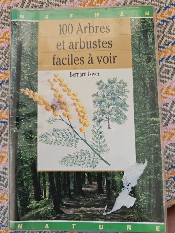 100 arbres et arbustes faciles à voir