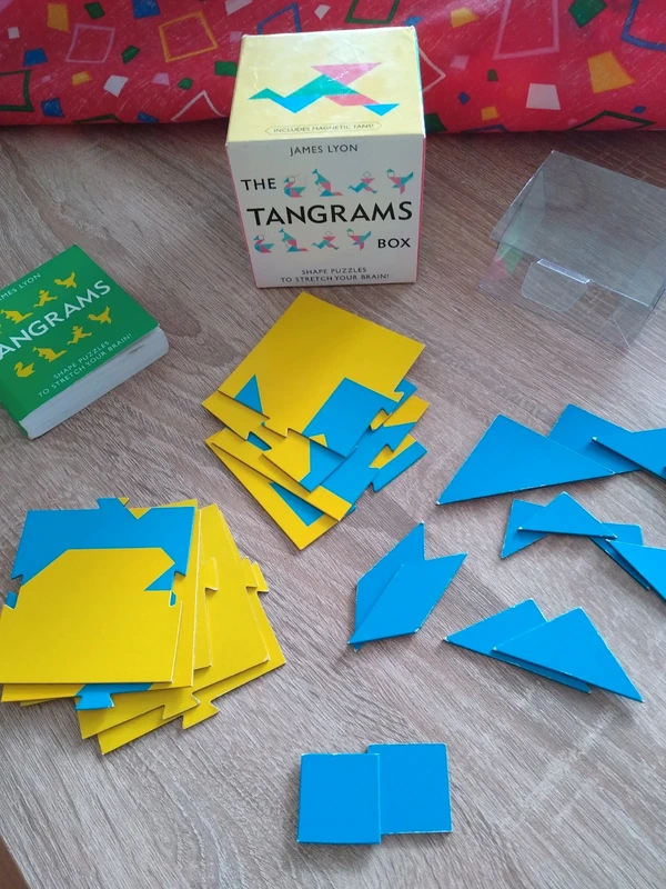 Jeu The Tangrams box magnétique James Lion
