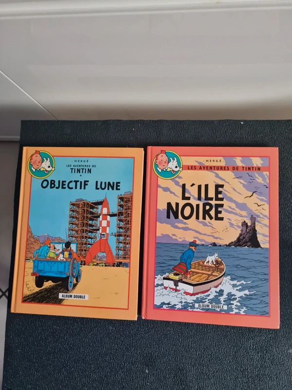 Tintin "Lot de 10 albums doubles " les aventures de Tintin " Hergé Tbe