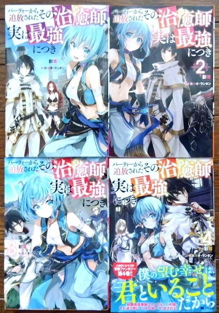 Il guaritore che fu bandito dalla sua festa, è il light novel giapponese...