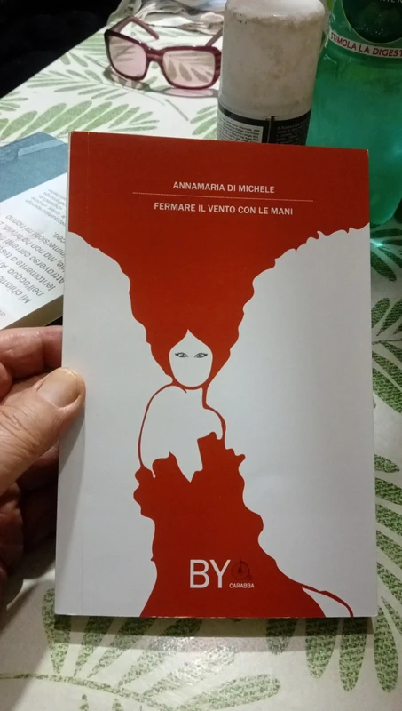 Libro Fermare il vento con le mani Annamaria Di Michele