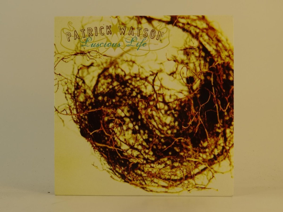 PATRICK WATSON LUCIOUS LIFE (D70) 2 Track Promo CD Single including Card Sleeve 