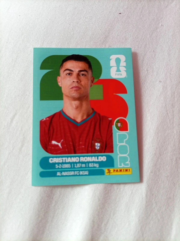 Lot 51 cartes panini