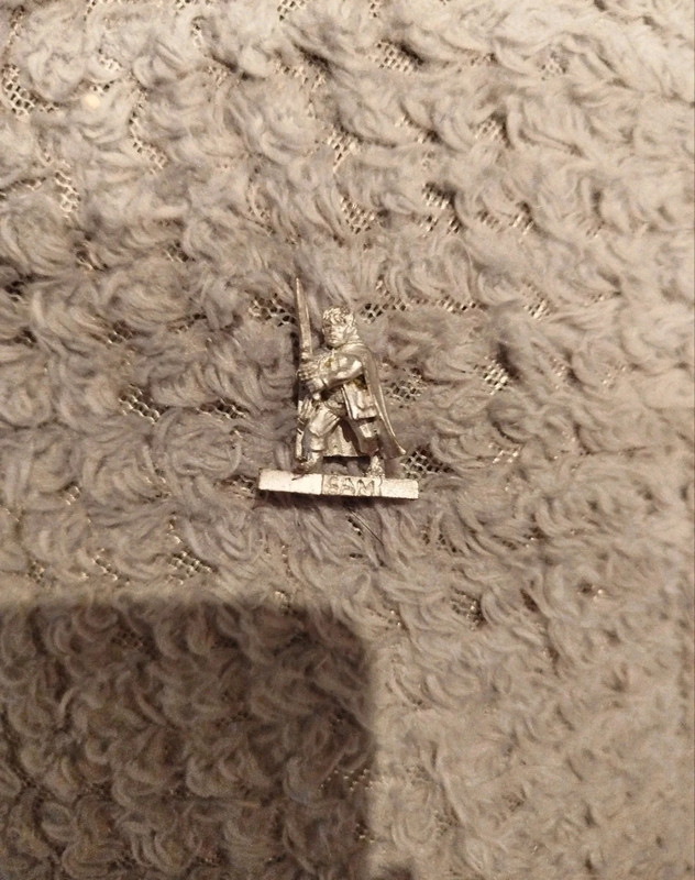 Miniatura de Sam Gamyi