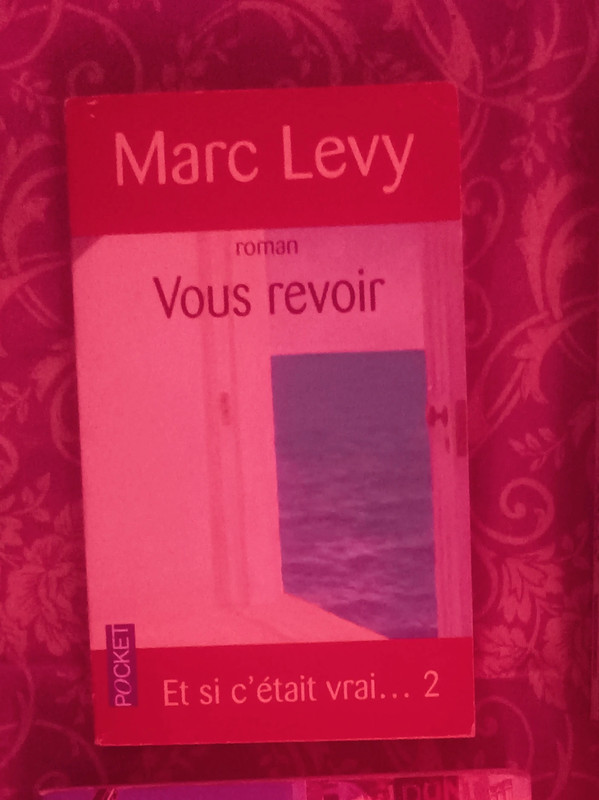 Marc Levy roman / Vous revoir, Et si c'était vrai
