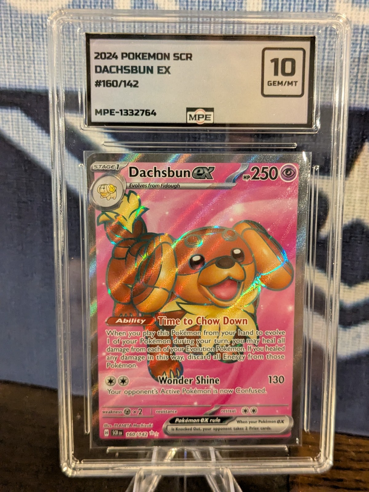 2024 POKEMON DACHSBUN EX 160/142 MPE GEM MINT 10!!