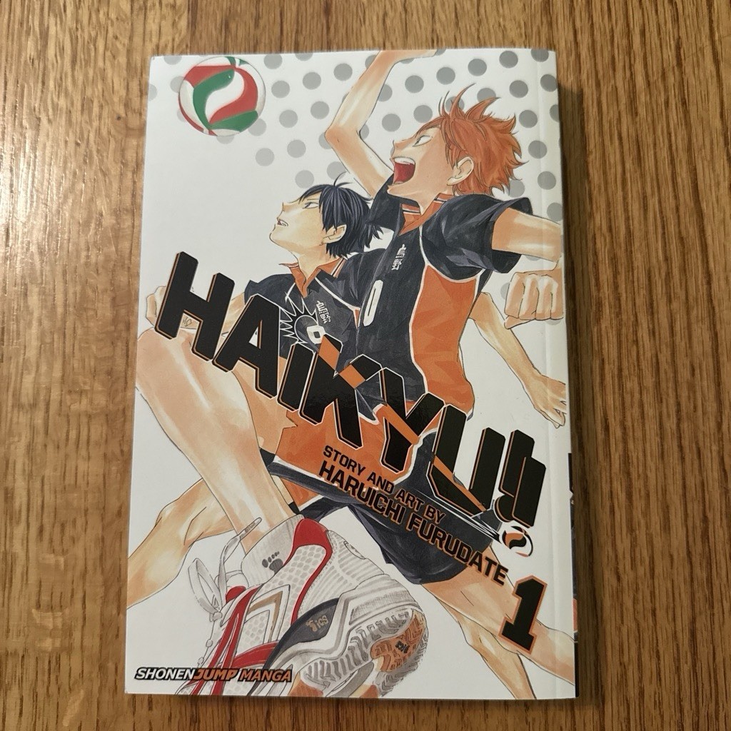 Haikyuu!! Manga Volume 1 (Traduzione Inglese)
