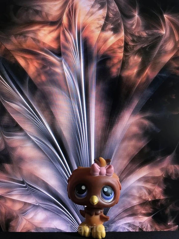 Petshop LPS Hasbro hibou chouette oiseau couleur chocolat  aux yeux bleus # 1943