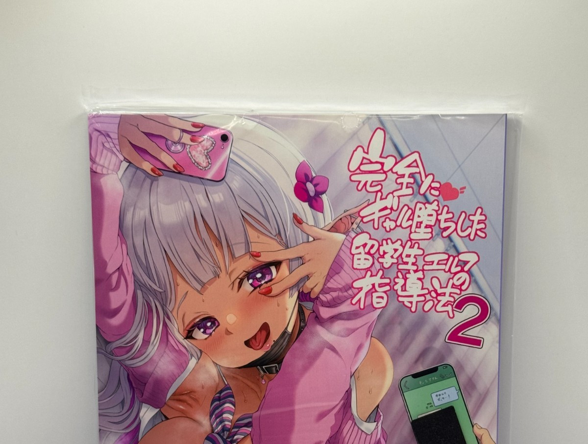 Elfo Doujinshi / Illustrazione Giappone