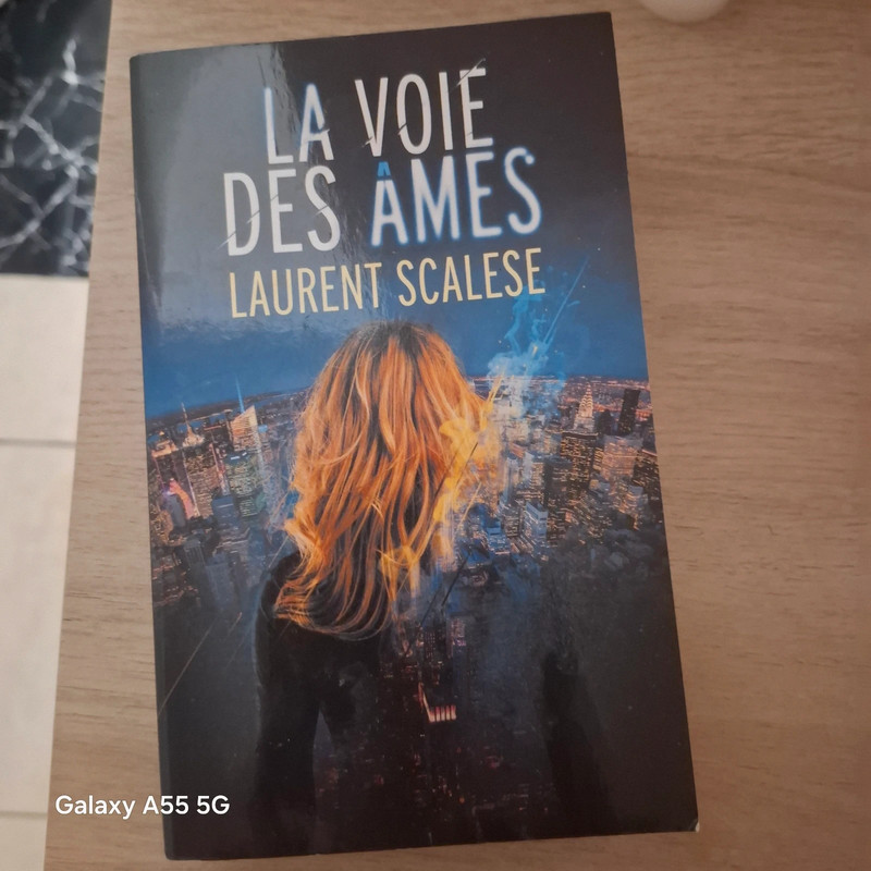 Livre la voie des ames