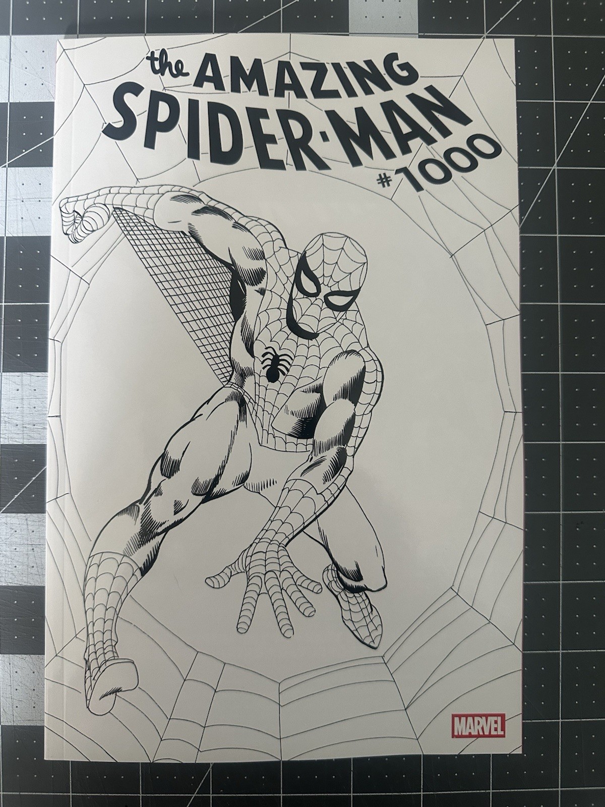 Amazing Spider-Man #1000 1:50 copertina in bianco e nero realizzata da Steve Ditko quasi nuova