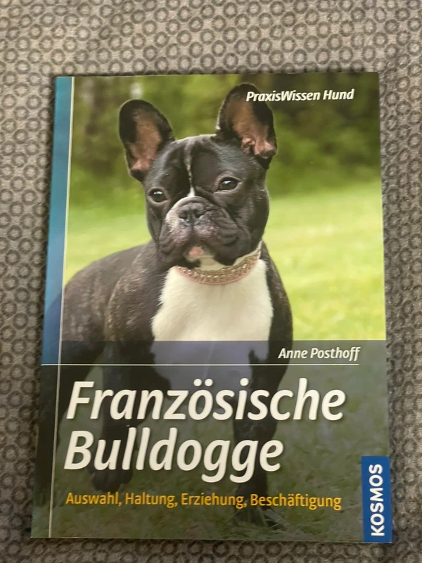 Ratgeber - Französische Bulldogge
