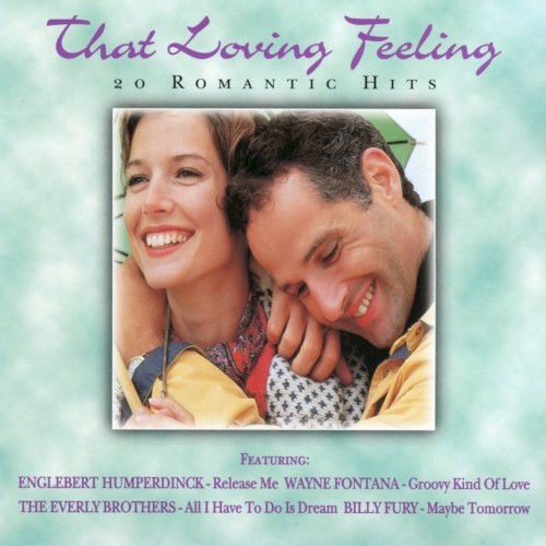 Various Artists That Loving Feeling: 20 Romantic Hits (971) 20 Track CD Album pl
