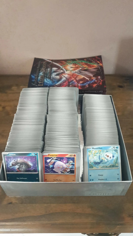 lot de 400 cartes pokémon toutes différentes + roman fantasy