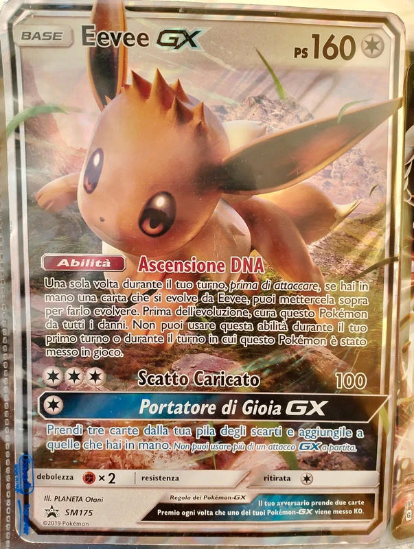 Carte Pokemon
