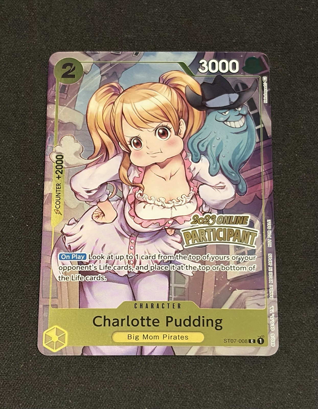 Charlotte Pudding 2023 partecipante online St07
