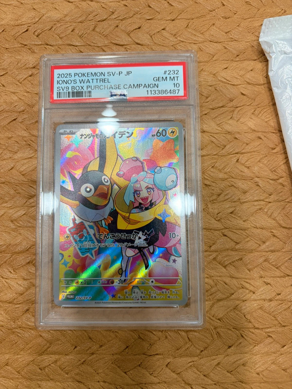 Wattrel di Kissara (SV-P 232) psa10