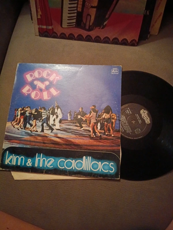Vinile 33 giri