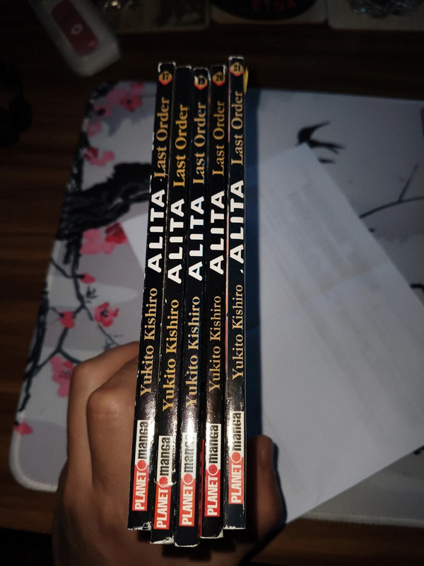 Alita dal 17 al 21