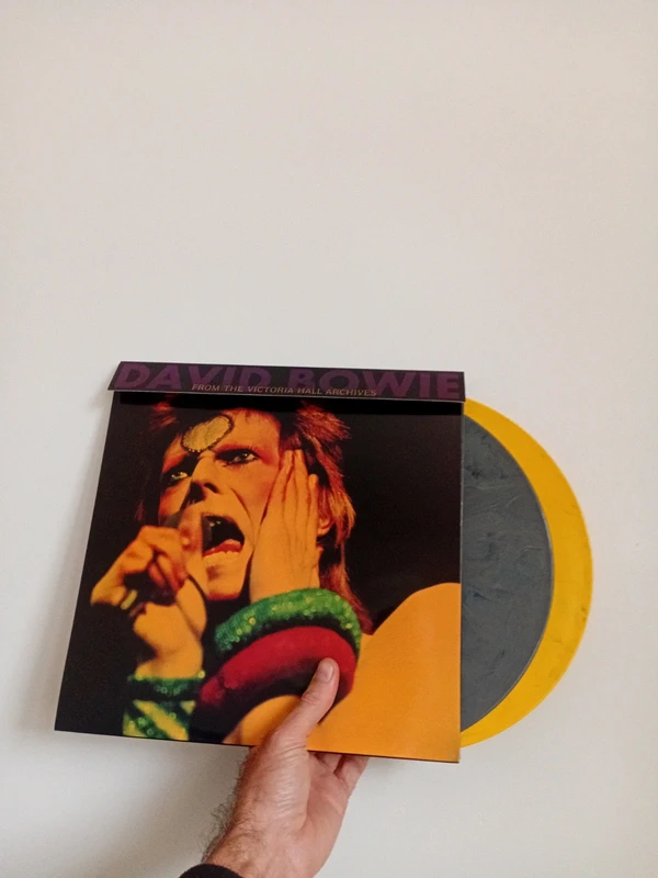 David Bowie double album vinyl