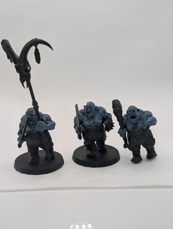 3 ogor fantasy wargame