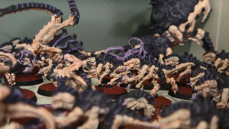Tyranid force