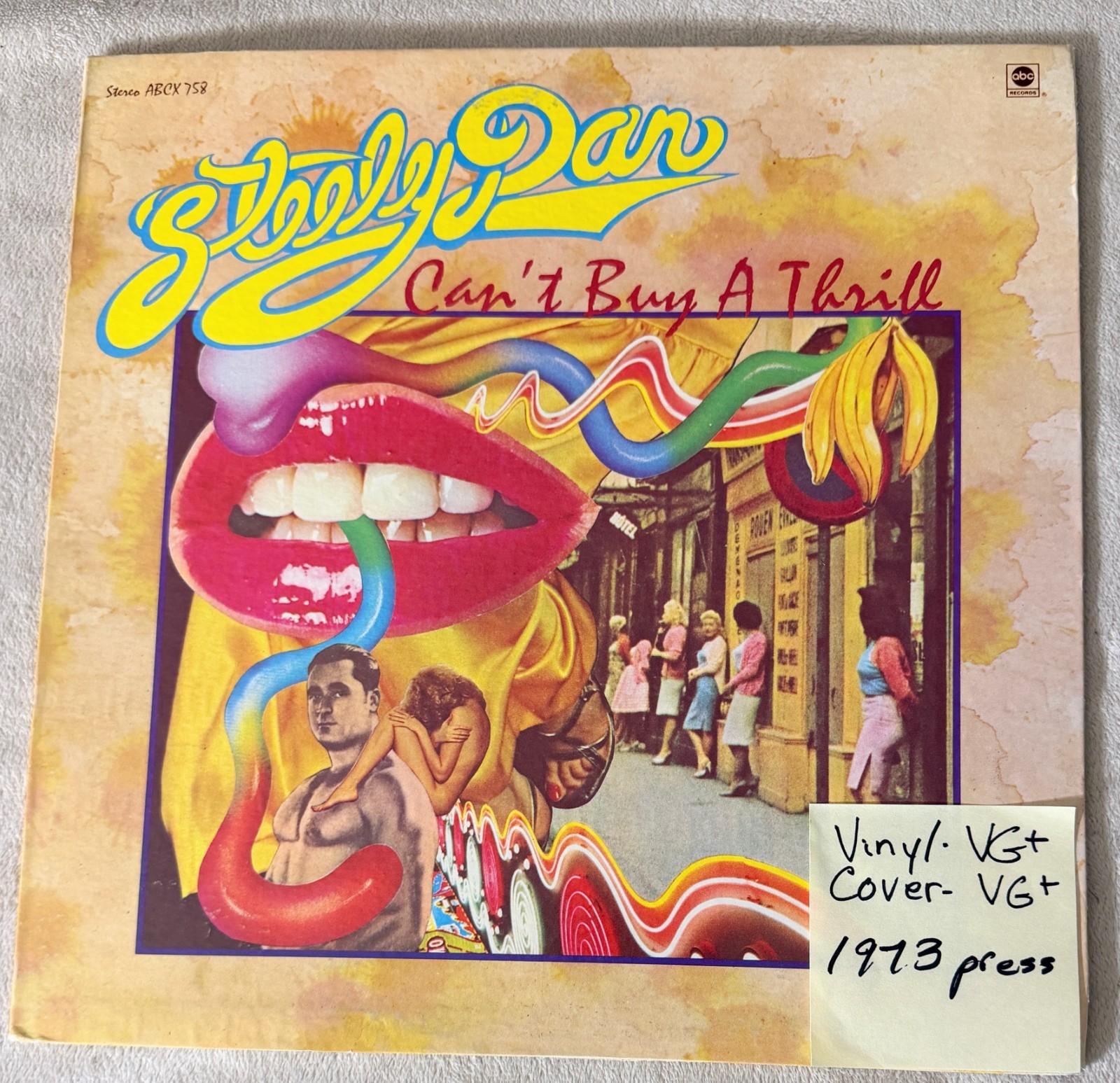 STEELY  DAN Can't Buy a Thrill  ABCX 758 building blocks label.   1973 pressing