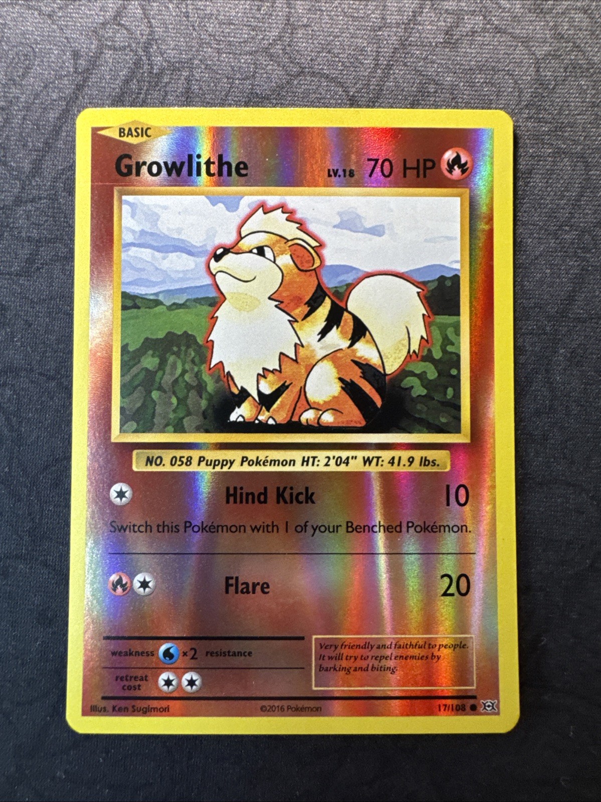 Growlithe 17/108 Evoluzioni Reverse Holo XY Pokemon MJ