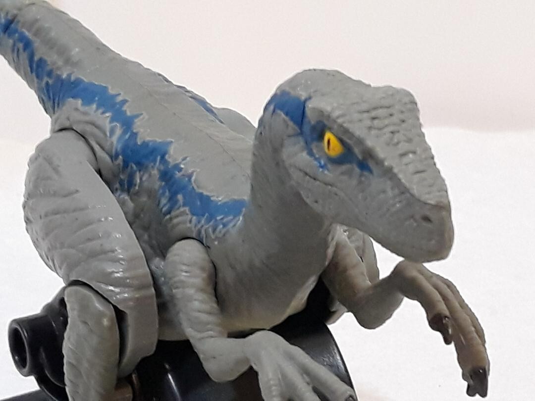 Jurassic World Fallen Kingdom Mattel Velociraptor dinosauri blu senza cavo a strappo
