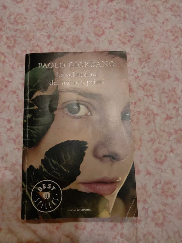 La solitudine dei numeri primi