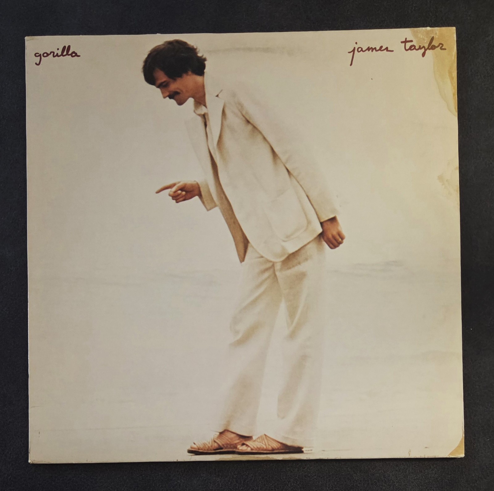James Taylor – Gorilla  Vinyl LP  1975  Warner Bros.  BS 2866 Terre Haute Press