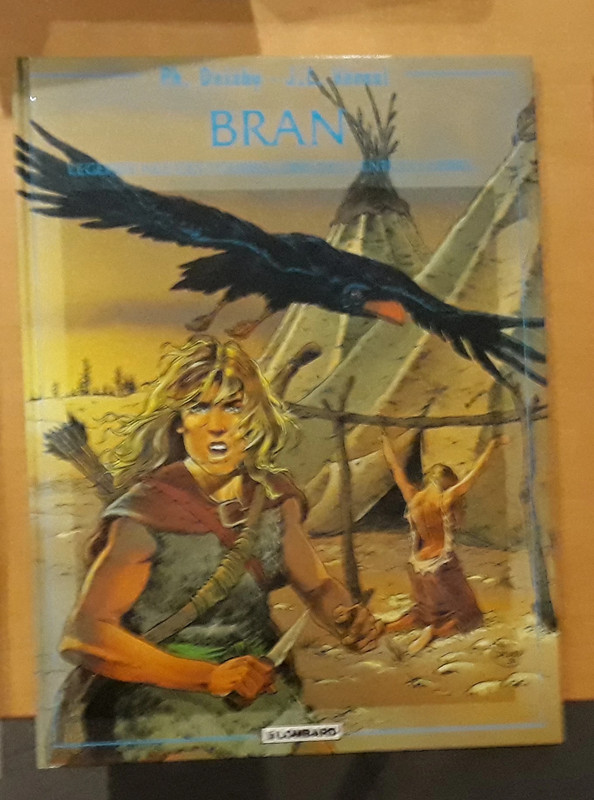 Bran Légende née des tourbillons des vents du nord.. EO 1993 - One shot de Delaby et Vernal