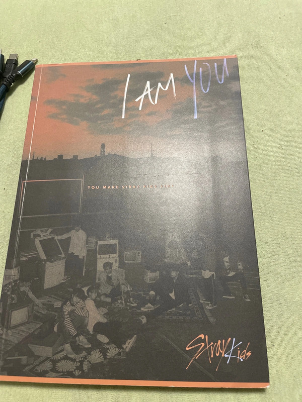 Stray, Kids Album