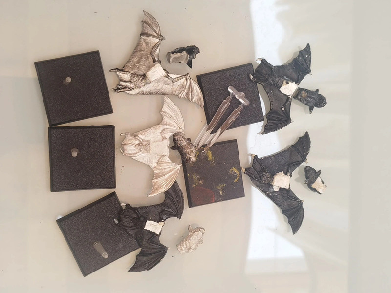 Citadel fell bats