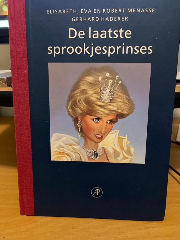 De laatste sprookjes prinses