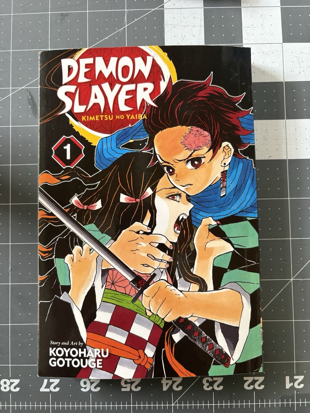 Demon Slayer Libro 1 